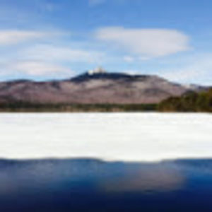 Meet your Posher, Jack